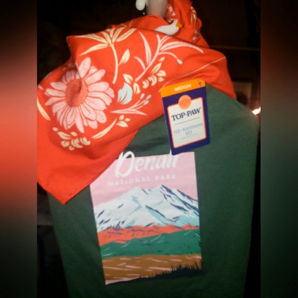 TOP DOG TEE & BANDANA SET. NWT - Picture 1 of 6